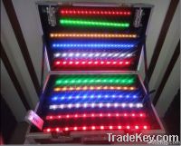 Waterproof SMD 5050/3528 Flexible LED Strip