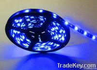 5050 60 LED Flexible Strip Light smdstrip SMD 5050 striplight