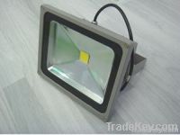 Led Floodlight (30W)