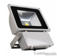 High Intensity LED Floodlight (100W)