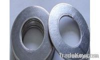 Tanged Metal Reinforced Graphite Gasket