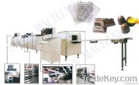 chocolate depositing line(single/double depositing head)