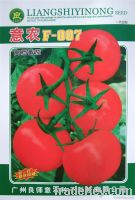 Yinong F-007 Indeterminate Tomato Seed