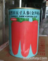 Guanglian Five Inch Ginseng Carrot Seed