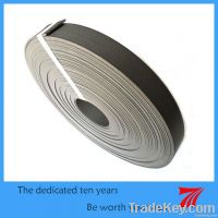 Bronze filled PTFE seal - Guide Tape for Hydraulic