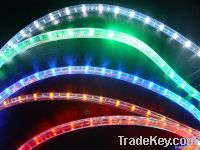 2-Wires LED Mini Rope Light