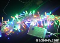 LED Twinkle Light