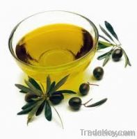 OLIVE OIL