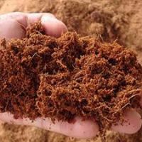 The best cocopeat supplier