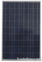 80W Polycrystalline Solar Panel--made in china