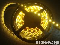 SMD 5050 LED Flexible strips IP33