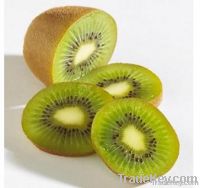 Kiwi Fruit