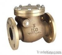 Bronze Check Valve