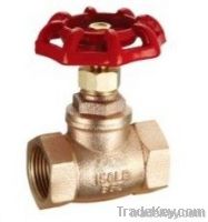 Bronze Globe Valve