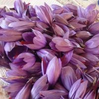 saffron,saffron corms and Morel mushrooms