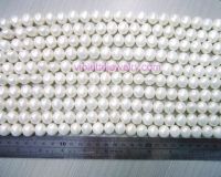 shell pearl beads