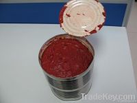 3kg straight tin tomato paste