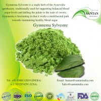 Gymnema Sylvestre powder