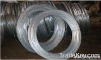 galvanized wire