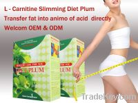 Slimming Dried Plum