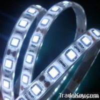 Waterproof(IP65) 60led/m RGB LED Strip Light