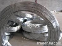 Electro Galvanized Iron Wire