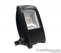 60-70W LED park light