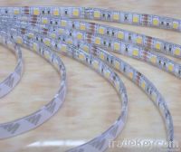 SMD 5050 LED Strip Light / WHITE/ 5m Per Rool /DC12V/60LEDs Per Meter