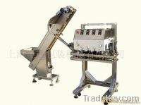 Linear Capping Machine