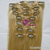 Clip In Hair Extension