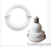 LVD Induction Lamps---Saturn Light Source