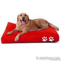 Dog  Beanbag