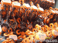 chain hoist