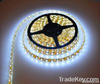 White LED tape