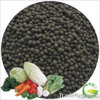 Bio Fertilizer Bacteria