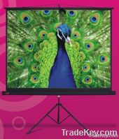 60"/120"Manual tripod projector screen