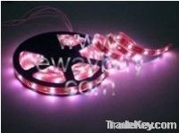 Top LED Flexible Strip