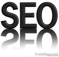 SEO Service