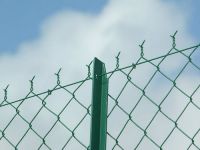 PVC coated chain link fence wire mesh