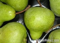 Fresh Peck-ham Pears