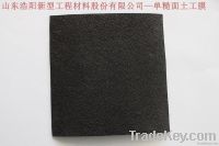 geomembrane with textured surface