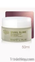 Snail Slime Regenrative Gel