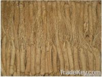 white ginseng root