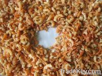 dried shrimp