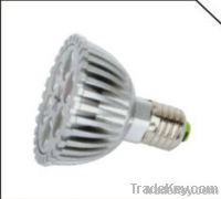 LED Spotlight Bulb