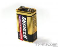 1.5V Battery Am1 Battery D Battery