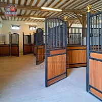 High Quality Permanent Equine Product Horse