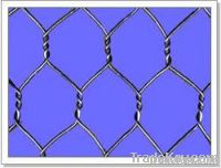 hexagonal wire netting