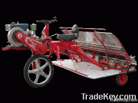 Transplanter