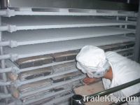 Plate Freezer